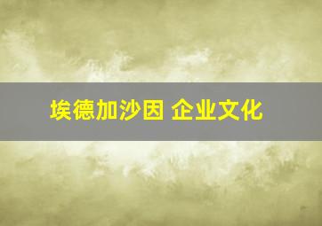 埃德加沙因 企业文化